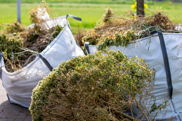 Best Garage Cleanout  in Louisiana, MO