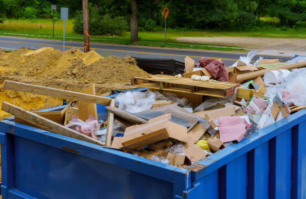 Best Hoarding Cleanup  in Louisiana, MO